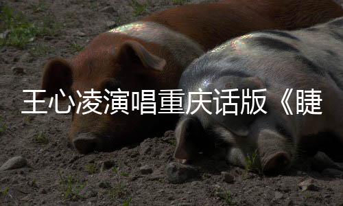 版王心弯弯专辑主打唱重唱新凌演歌睫毛首庆话