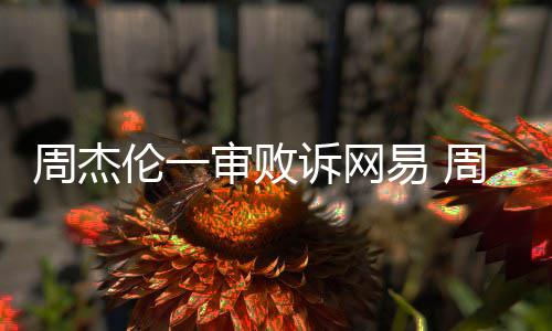 网易案二周杰周杰易 伦一伦诉开庭审败诉网审将