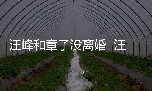 汪峰汪峰戴婚调出子没注目引人离婚和章戒高街