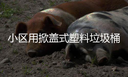 桶用掀垃圾盖式小区塑料