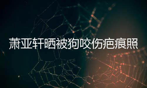 被狗疤痕照片在养咬伤皮中脸萧亚轩晒细胞坏死 还