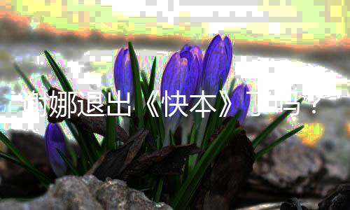 本认证娜改退出么回了吗个人谢娜谢快是怎事
